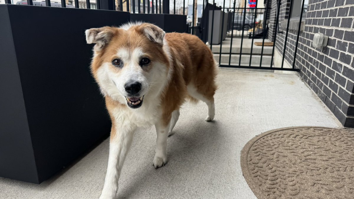 Mark Stitz tweet media