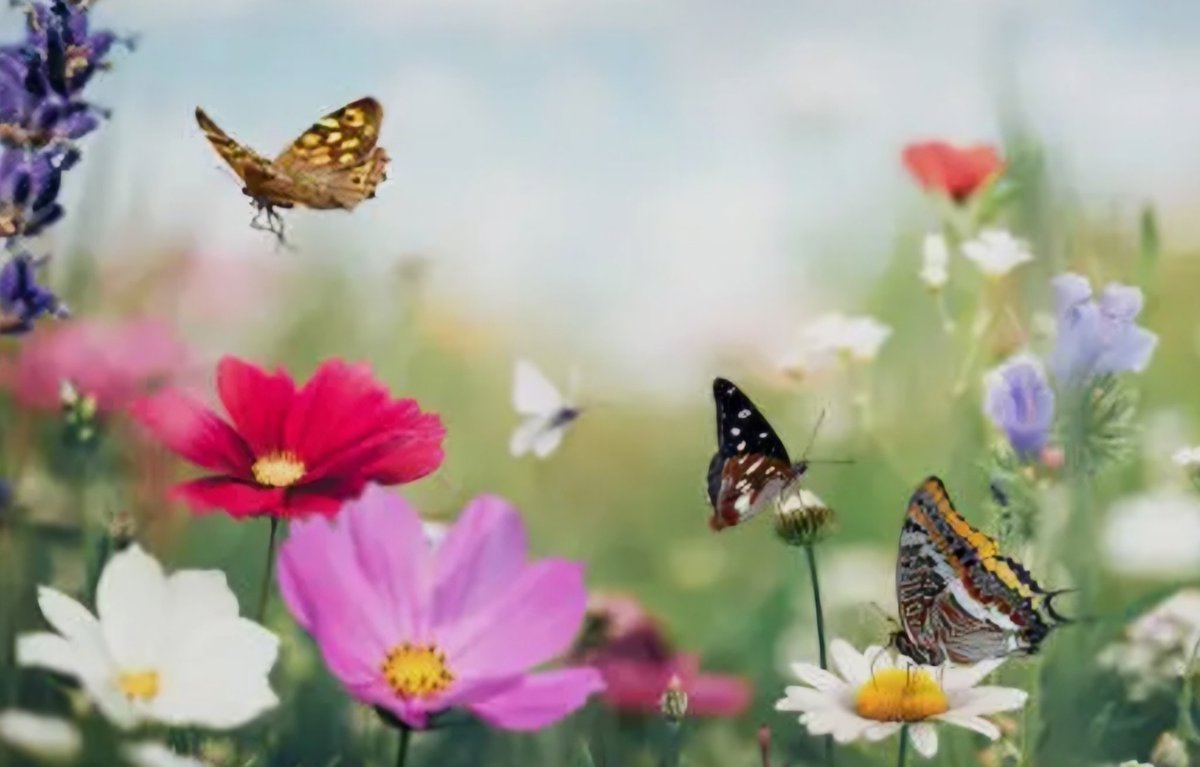 cherryhillfest's tweet photo. Happy First Day of Spring!
#springequinox
#spring https://t.co/Uj9pvxqWO9