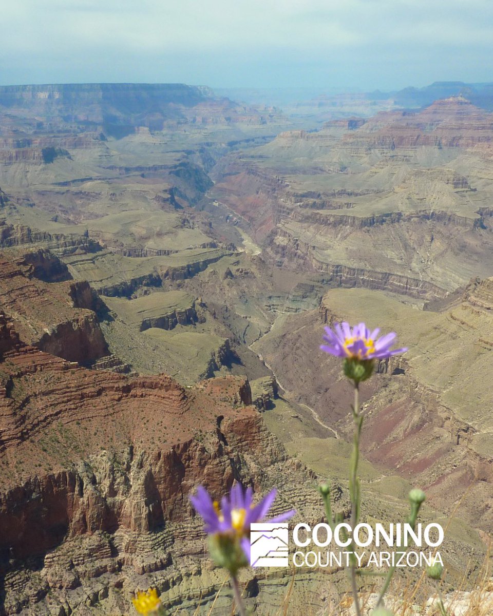 Coconino County tweet media