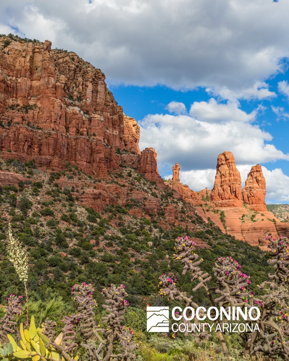 Coconino County tweet media