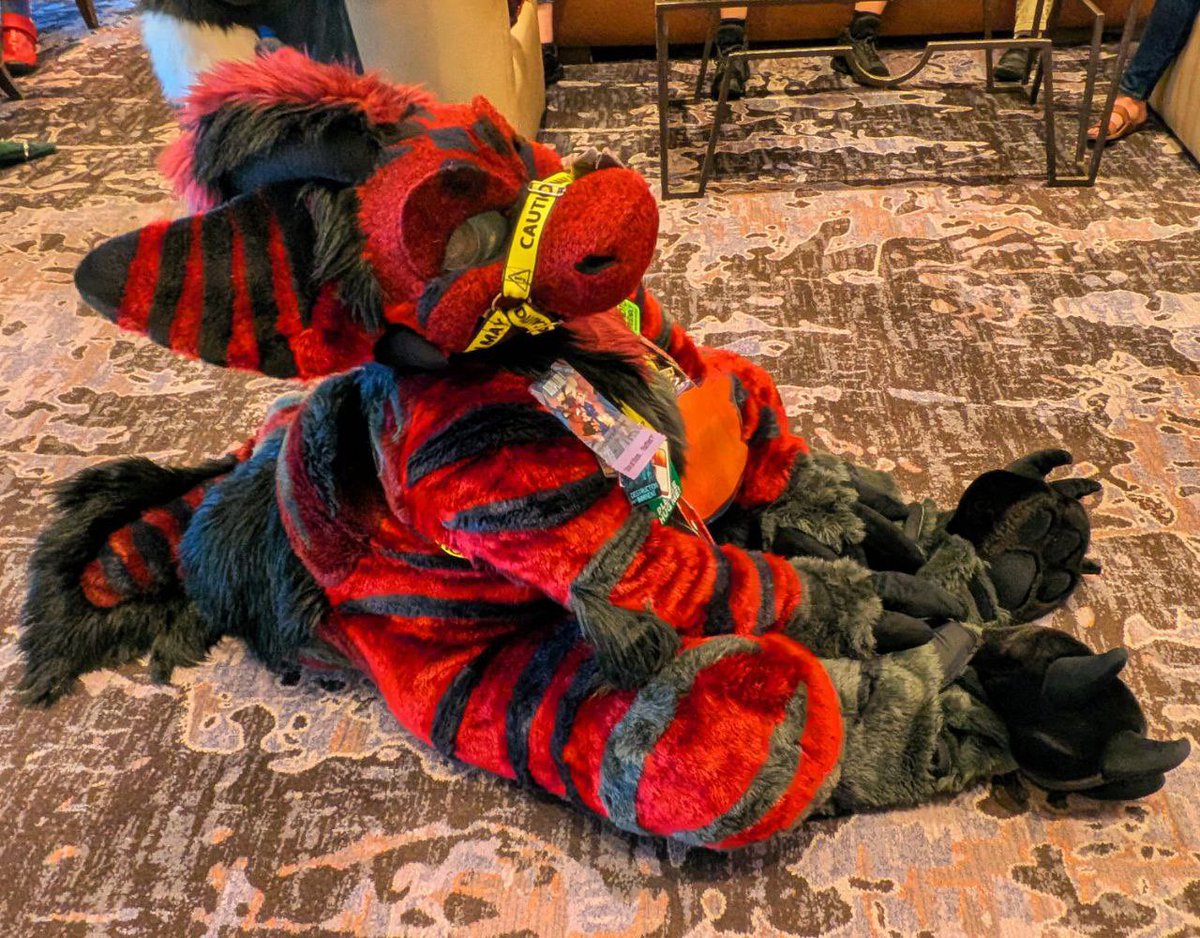 Blue&RedBros 🔜 AFC tweet media