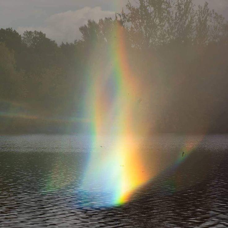 Neutralious tweet media