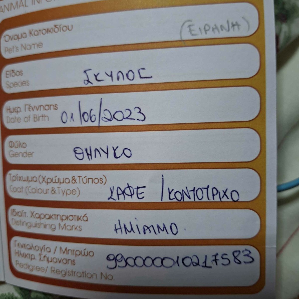 Penny Rage tweet media