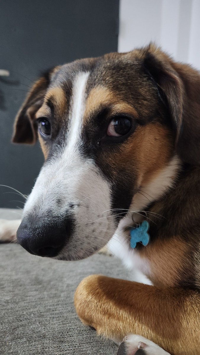 carito🇦🇷⭐⭐⭐ tweet media