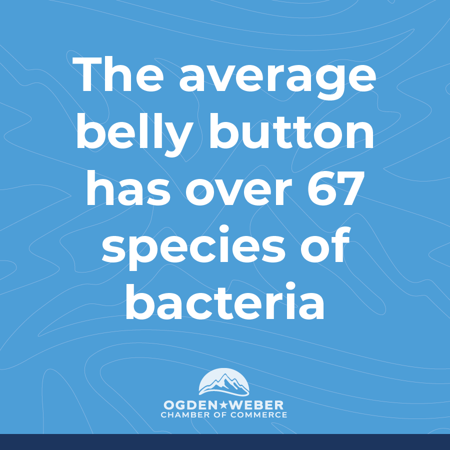 Ogden-Weber Chamber of Commerce tweet media