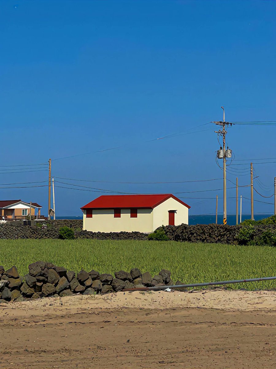 꿈꾸는유니콘 tweet media