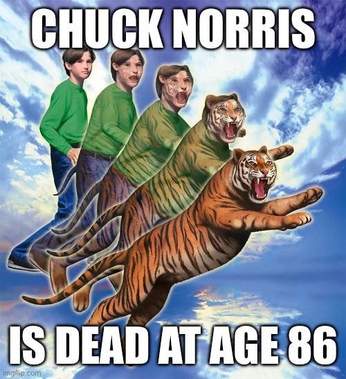 Animorphing Time Podcast tweet media