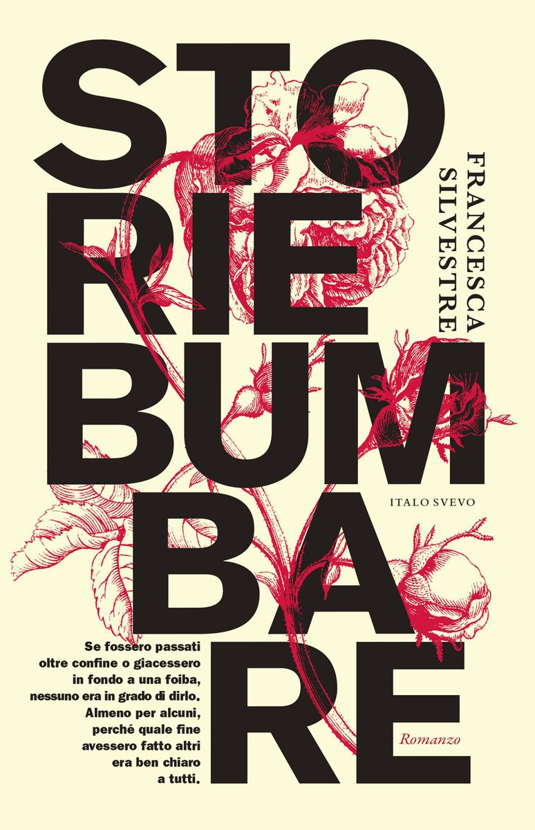 LuciaLibri tweet media