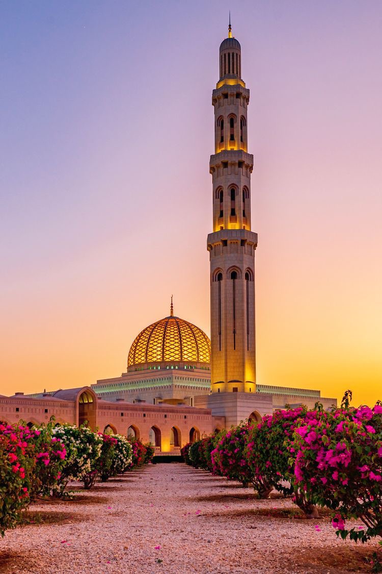 This is world tweet media