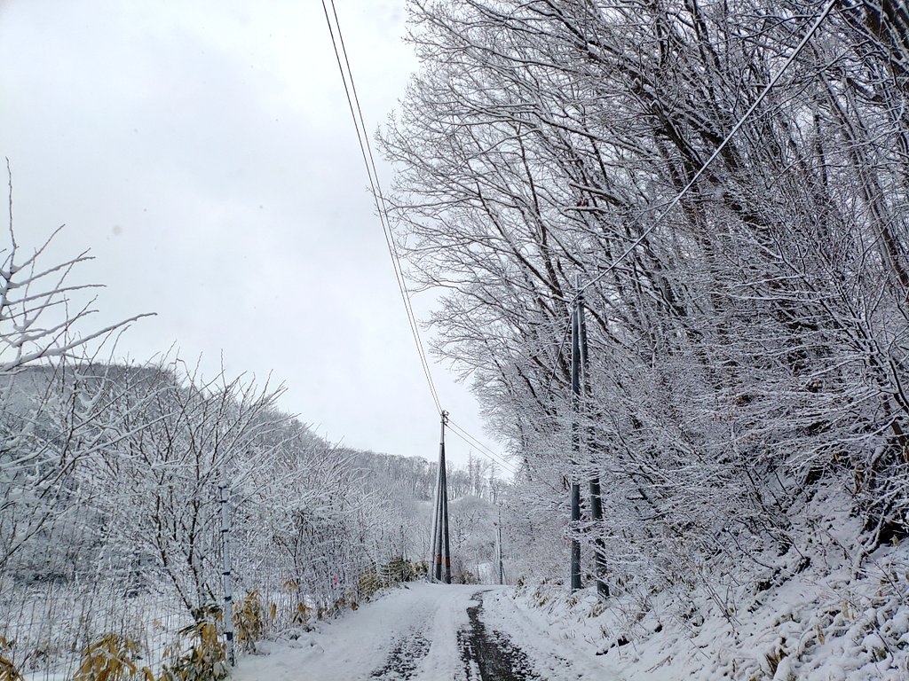 今日もプーラー室にいます tweet media