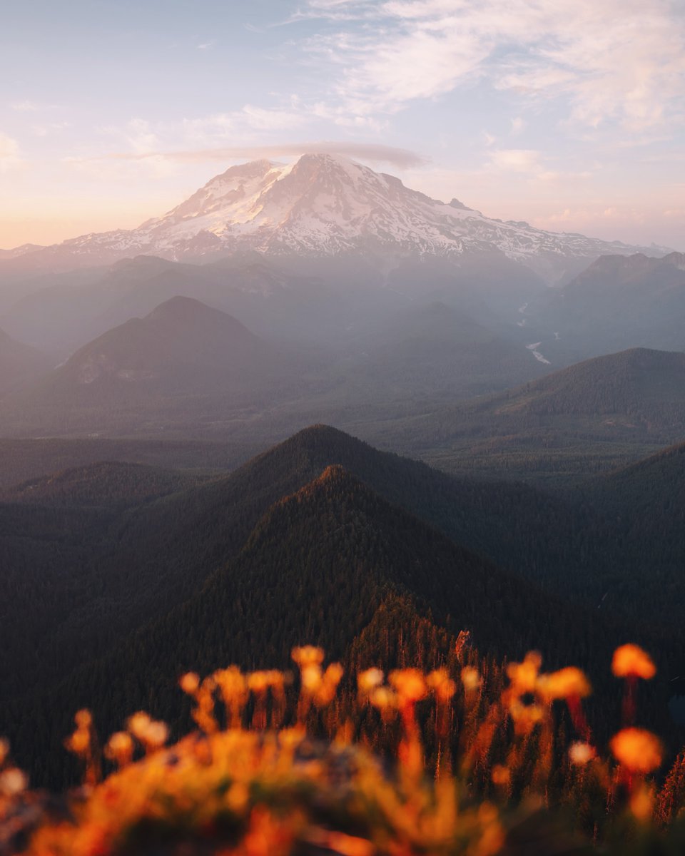 Purely Green tweet media