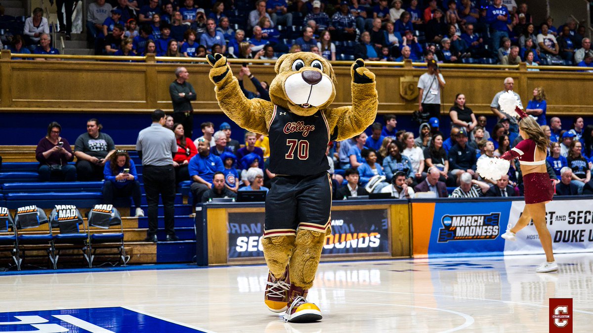 Charleston Women’s Hoops tweet media