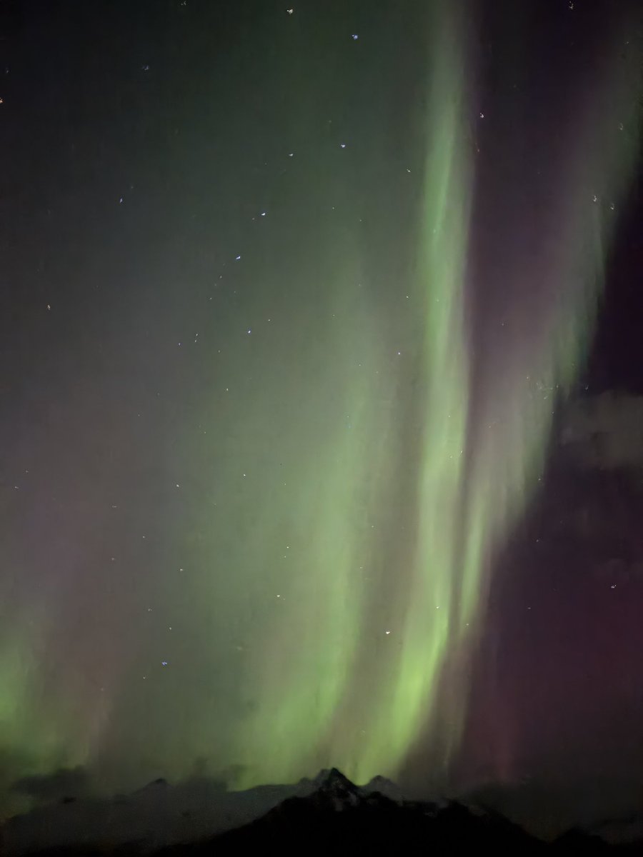 Parpiglia's tweet image. #island