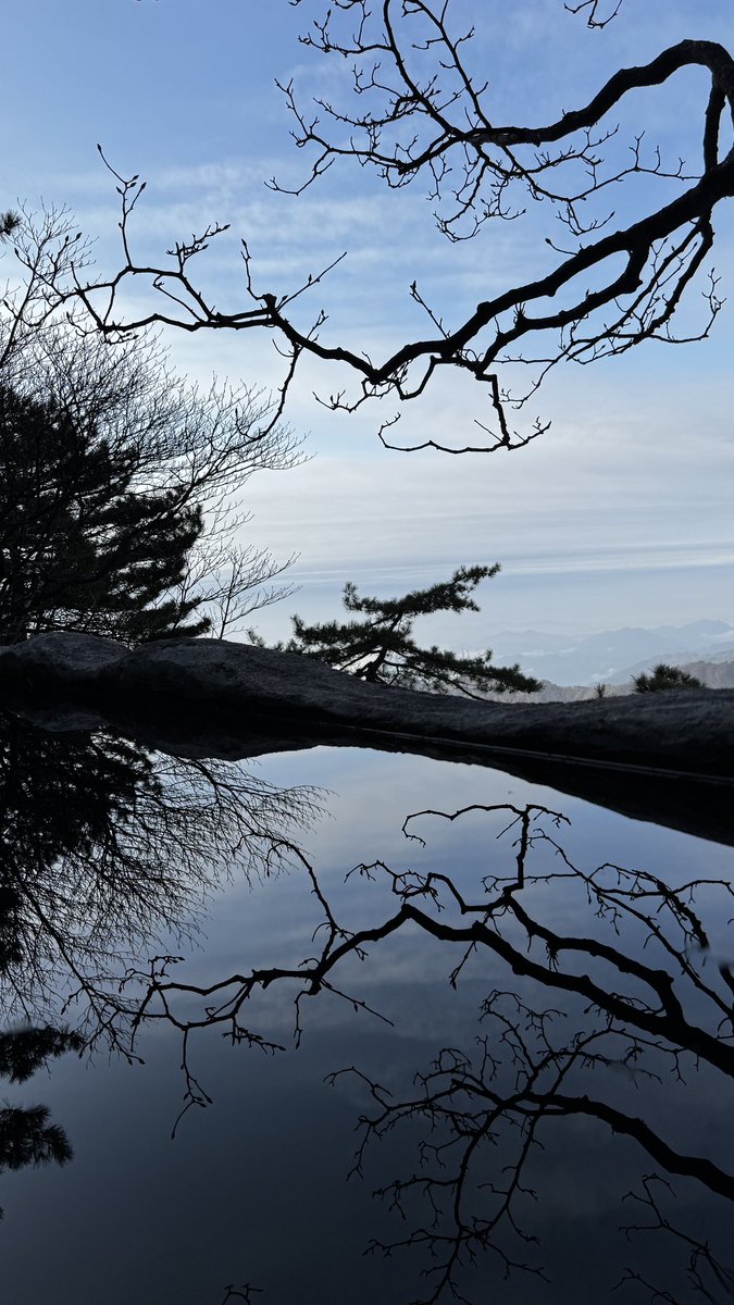 炖刀Simmered Edge tweet media