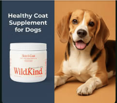 Tom Goodwin tweet media