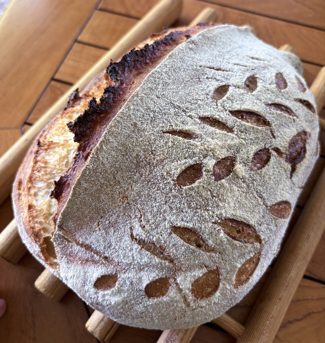 💧David maycraft🩸🌱 tweet media