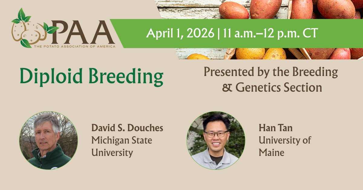 Potato Association tweet media