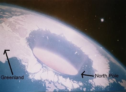 Judith Stone tweet media