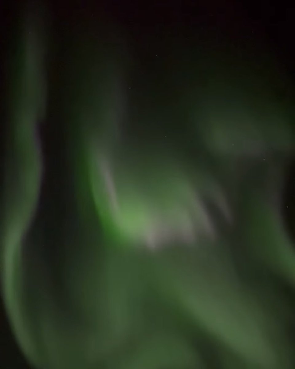 ellie ❄️ tweet media