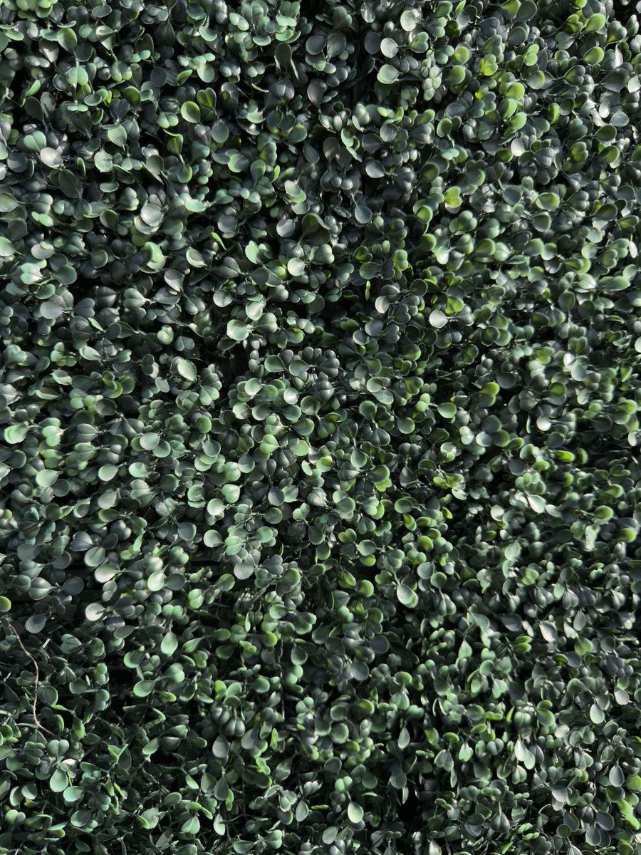 ArtificialTurf_'s tweet photo. ATS Artificial Foliage. Beautiful, durable, and sustainable. 🌿

Add instant texture, depth, and style without the maintenance. Designed for lasting impact, our foliage creates a lush, natural look in any setting.

Get your free quote today! https://t.co/5w8uYKZsHx https://t.co/06v6KH8wYj