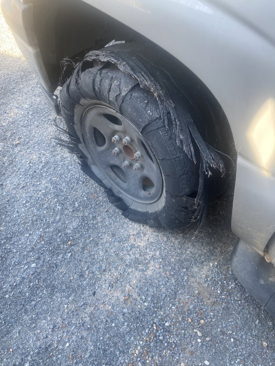 Liquid Robin Poe tweet media