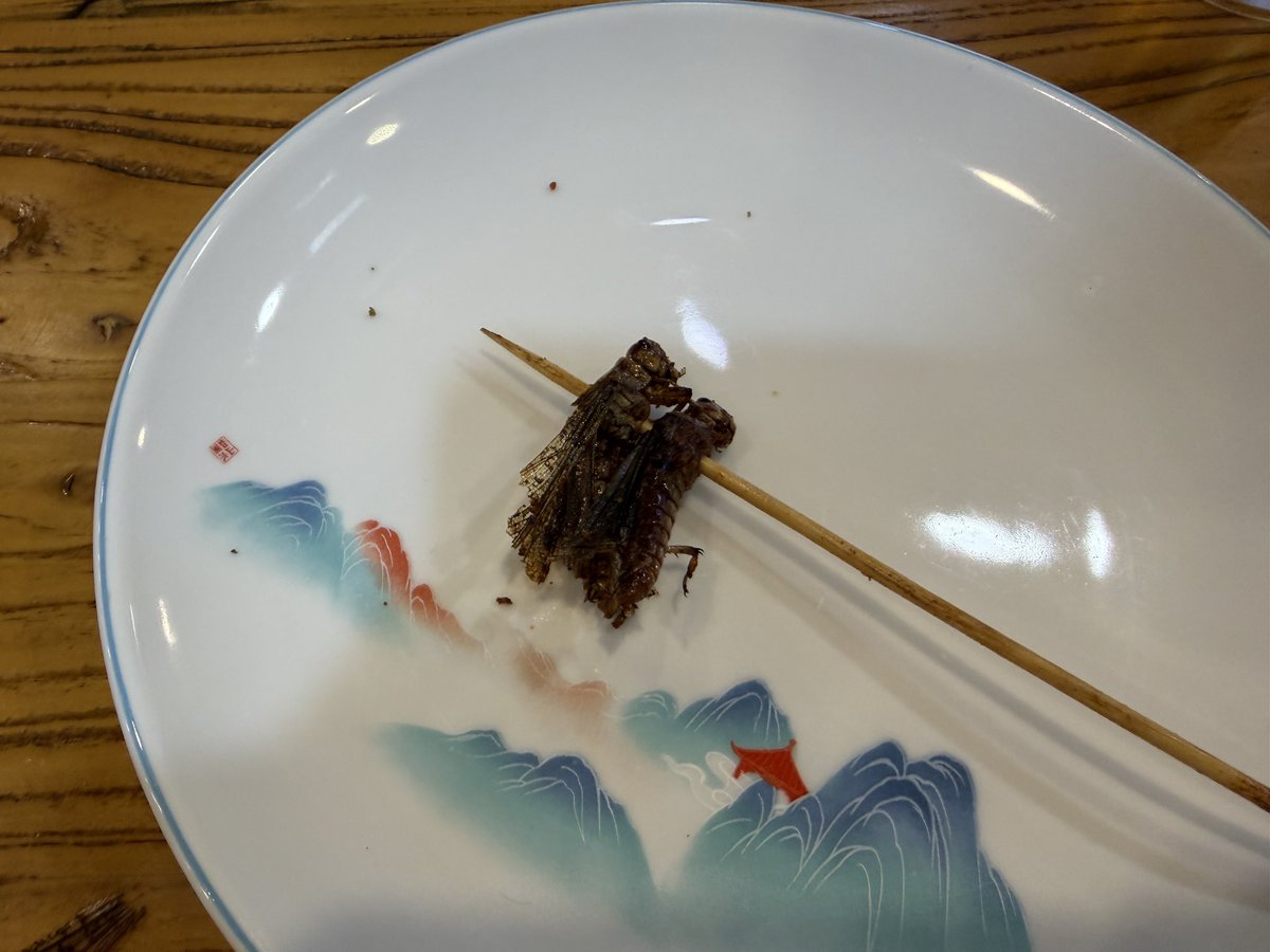 ビッグウェーブさん(本物) tweet media