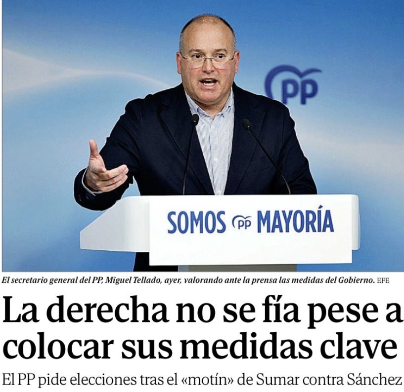 Mercedes Fernández tweet media