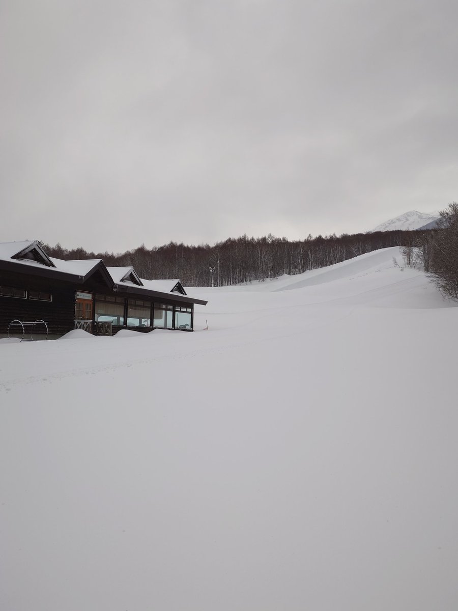 青森スプリング・スキーリゾート tweet media