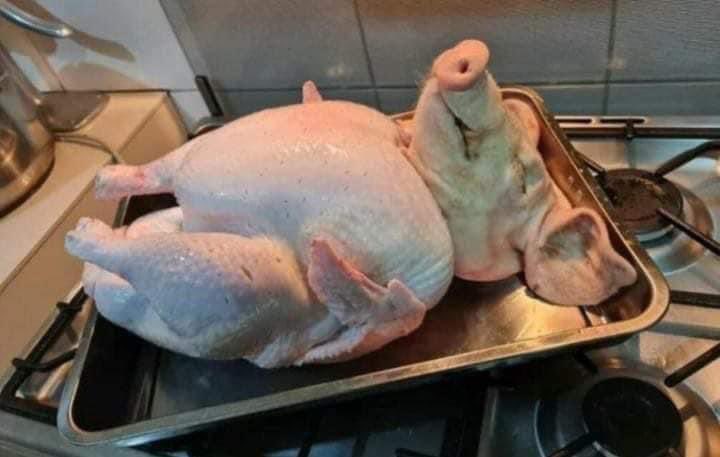 MC호랭이 tweet media