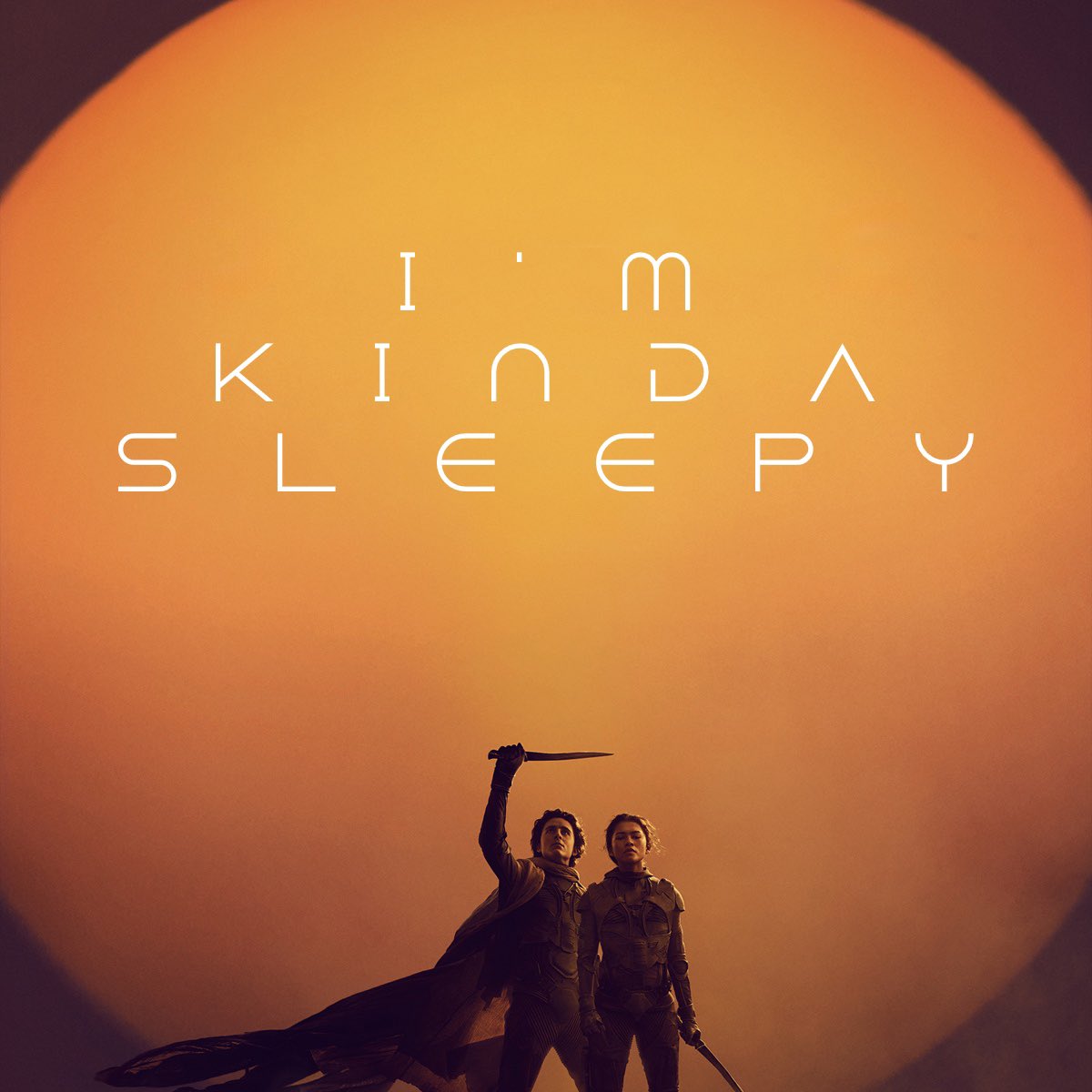 usul 🐁 tweet media