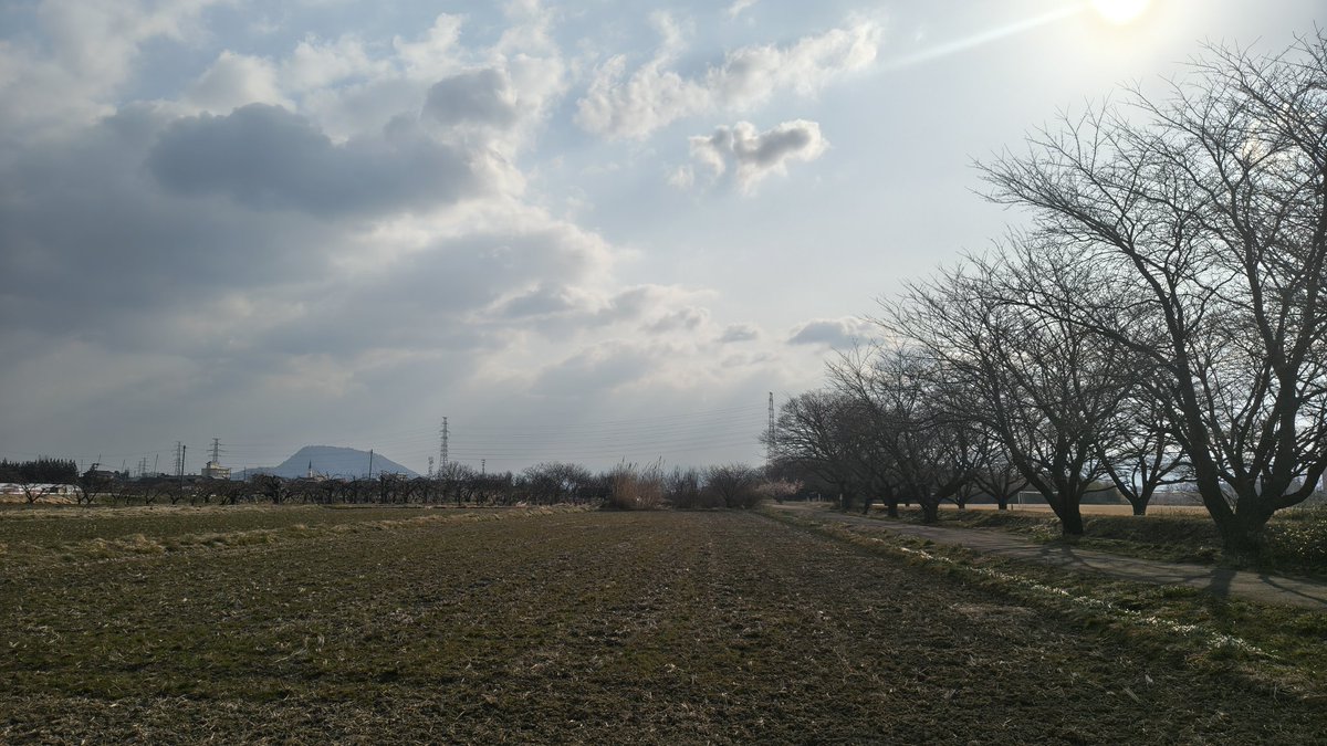 おはようございます❄

晴れ始めた通勤路🚗³₃
チラホラ雪が舞う4度風が冷たいですね🥶
最高気温は10度の予報です
昨日は自分の車を売るために色々行ってきました💦

皆さん健康第一で福のある素敵な1日を👋🥸
 #イマソラ
 #空ネット
 #福島市
 #福の空
 #ギャラリー梟