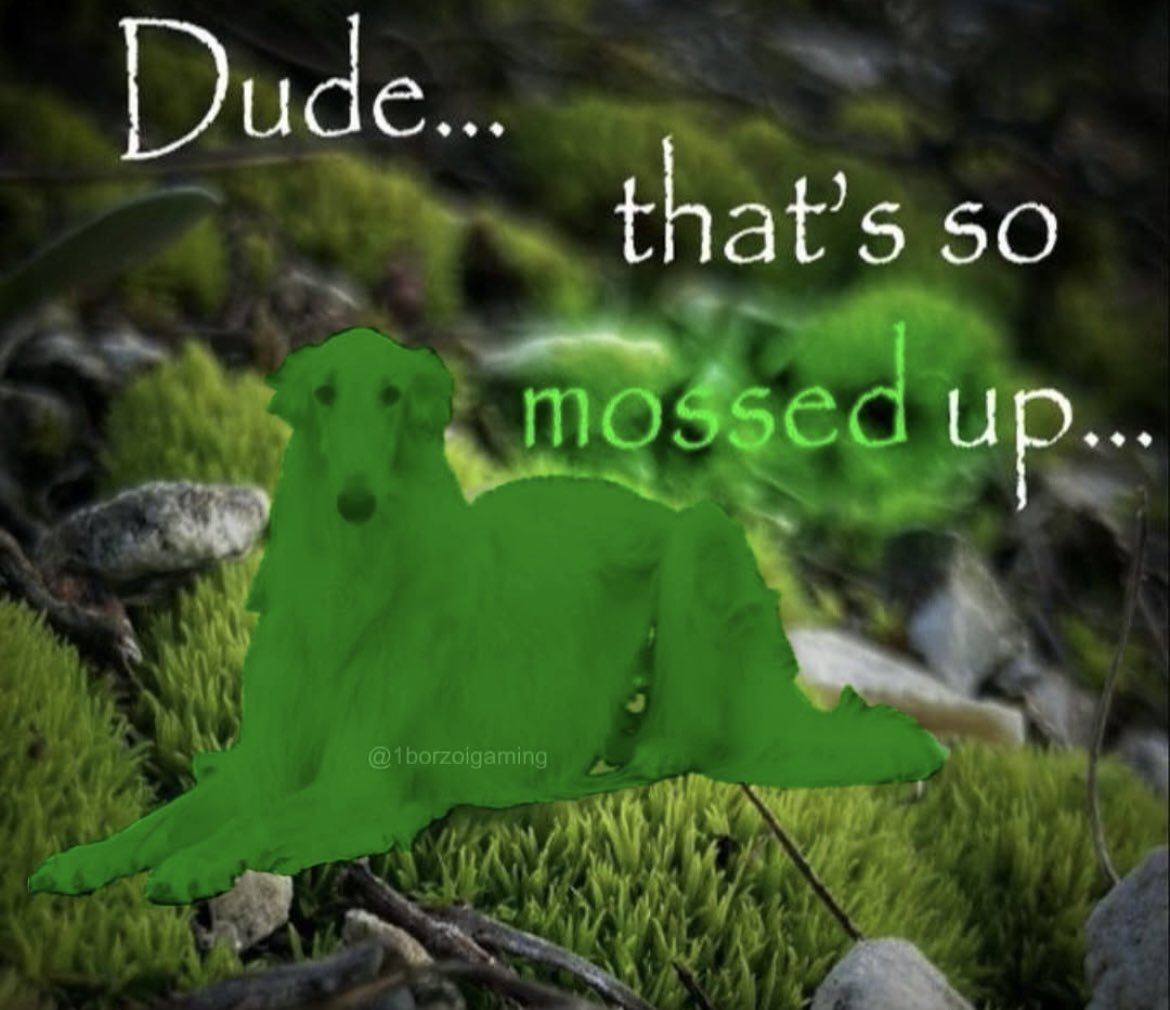 Typhonyx tweet media