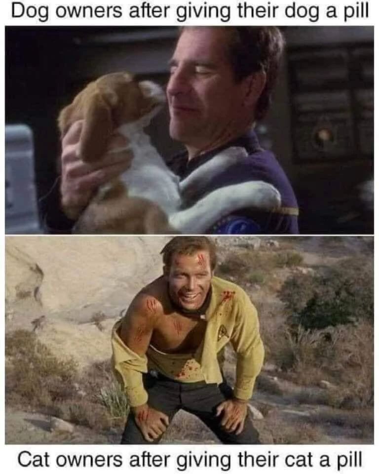 David John Cogger tweet media