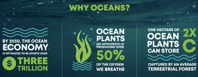 Visual Info Technology tweet media