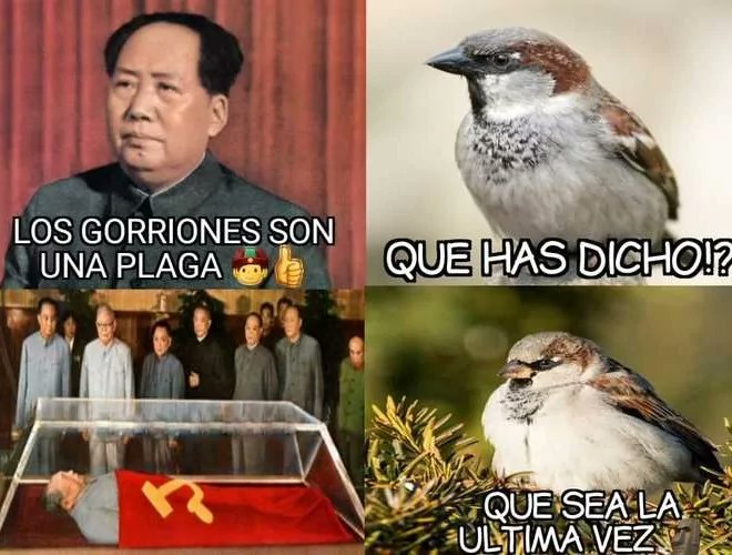 ⚡Y.Aner⚡🐧 tweet media