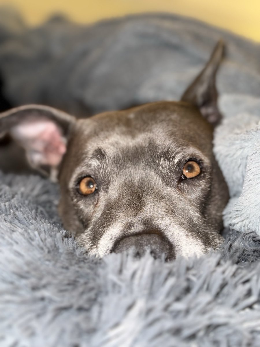 Isa Mary tweet media