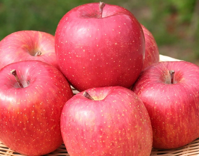 tukuba_kaju_en's tweet photo. \\当選者にはDMが届きます📩//

『青森県産 りんご 🍎 5kg（5,000円相当）』

抽選で４名様にお送りいたします

【応募方法】
・アカウントをフォロー👤
・リポスト＆いいね💓

応募締切:3/23  23:59 https://t.co/El8UoIzU7f