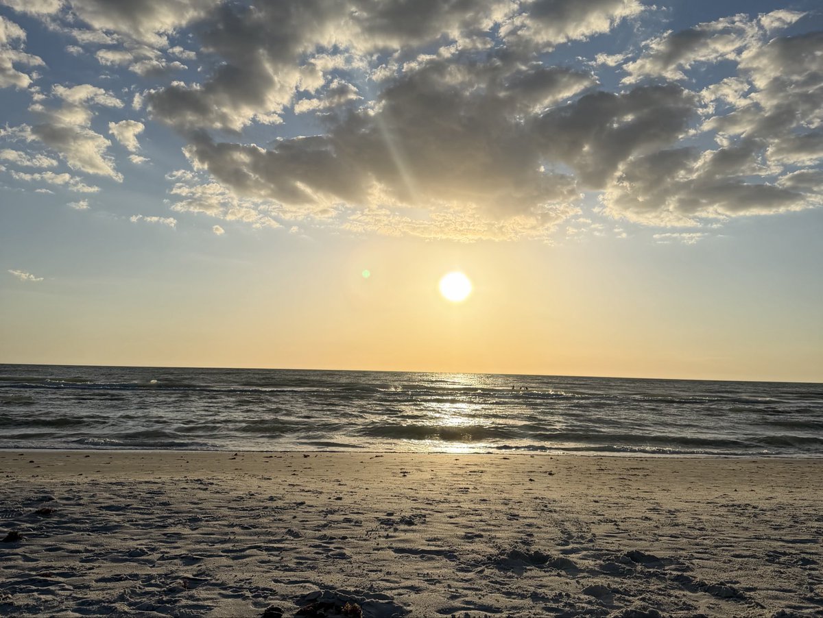 Dave ₿ 🌴 tweet media