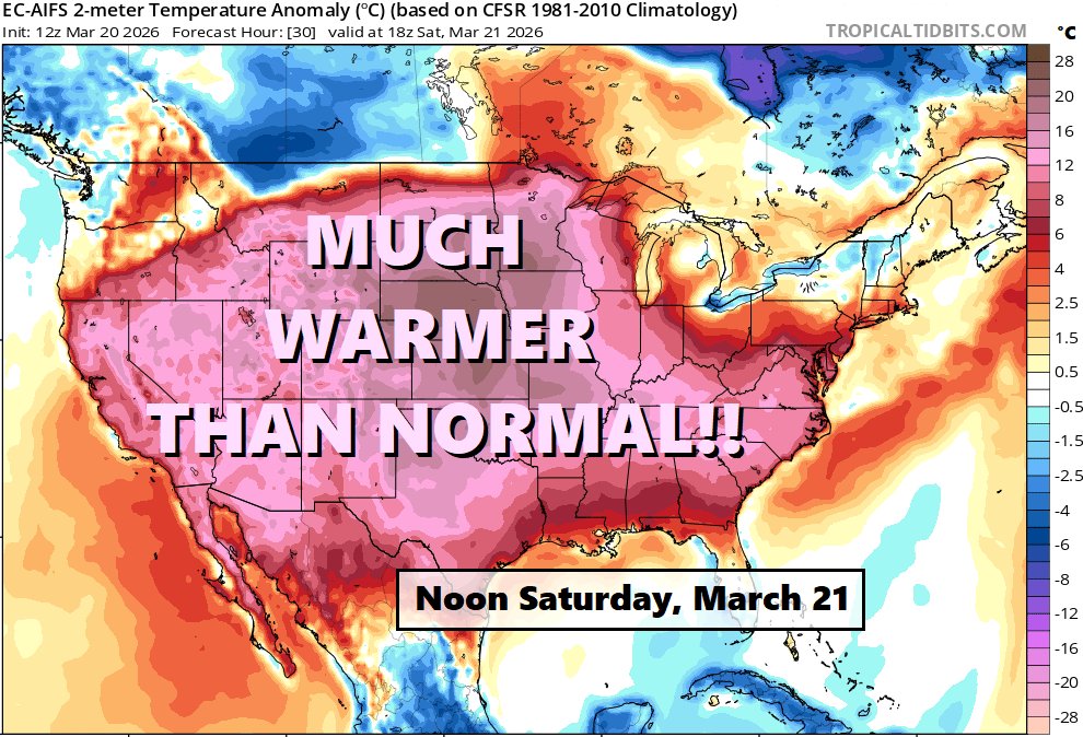 David Paul tweet media