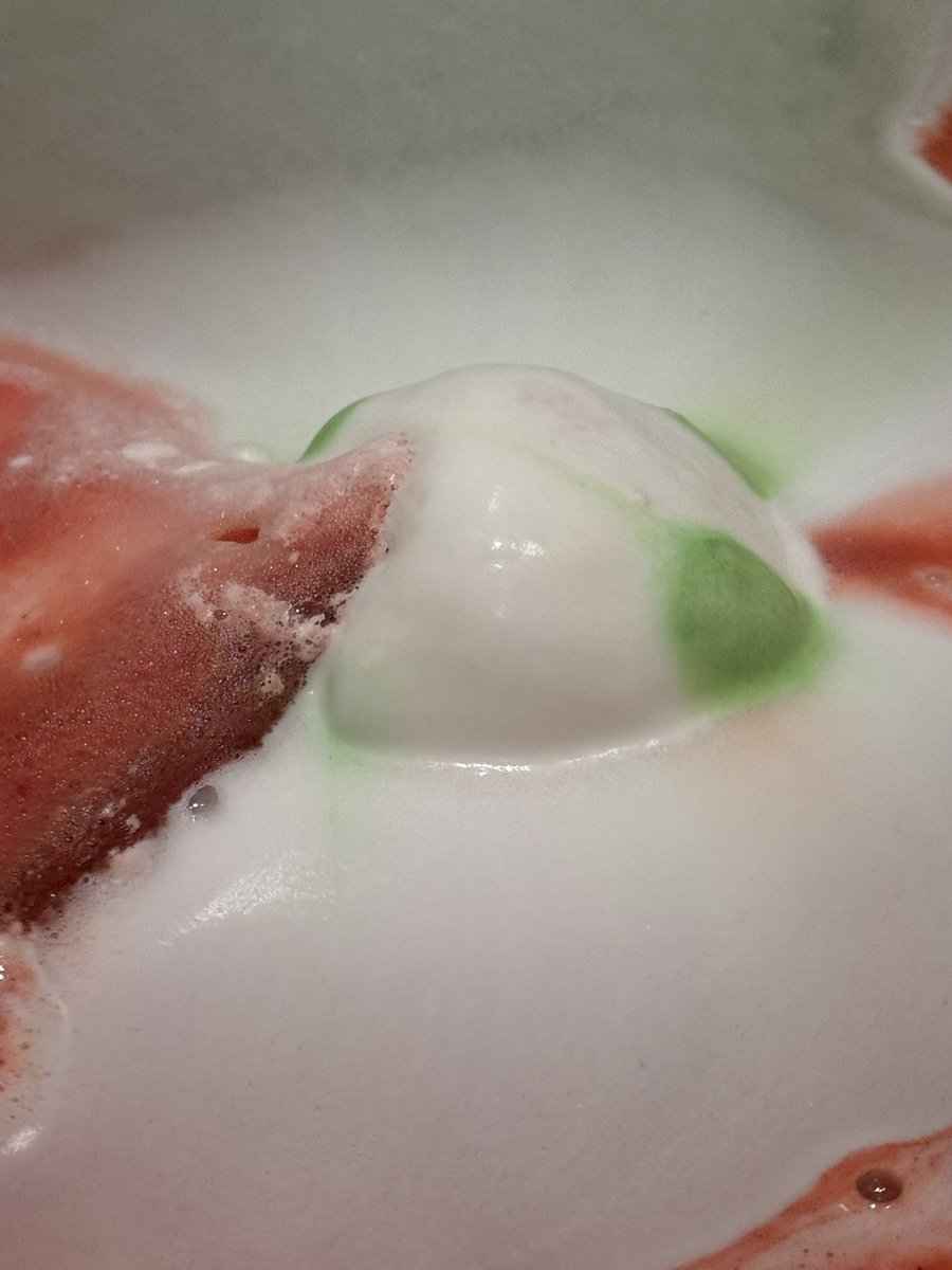 Lauren🌸 tweet media