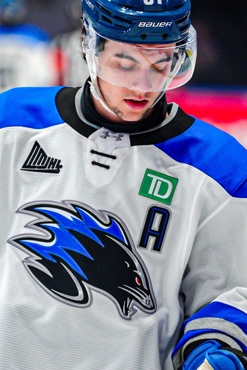 Saint John Sea Dogs tweet media