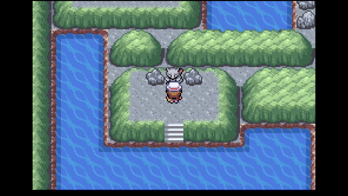 🌺ケンサイ🎹 tweet media