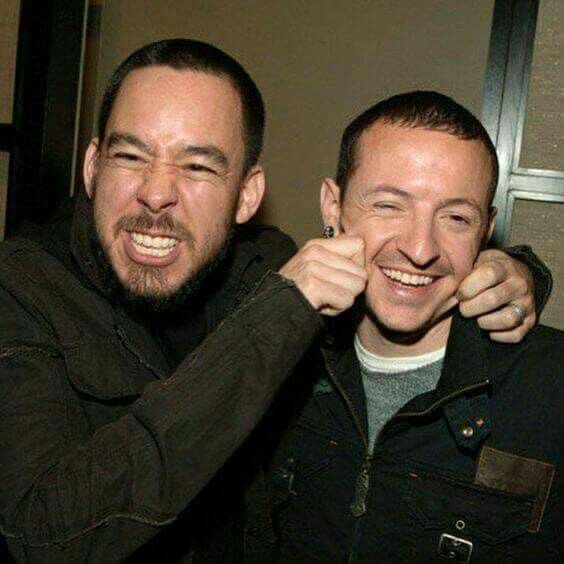 croftvanlaeken's tweet photo. I miss them https://t.co/8i6hdf3fTZ