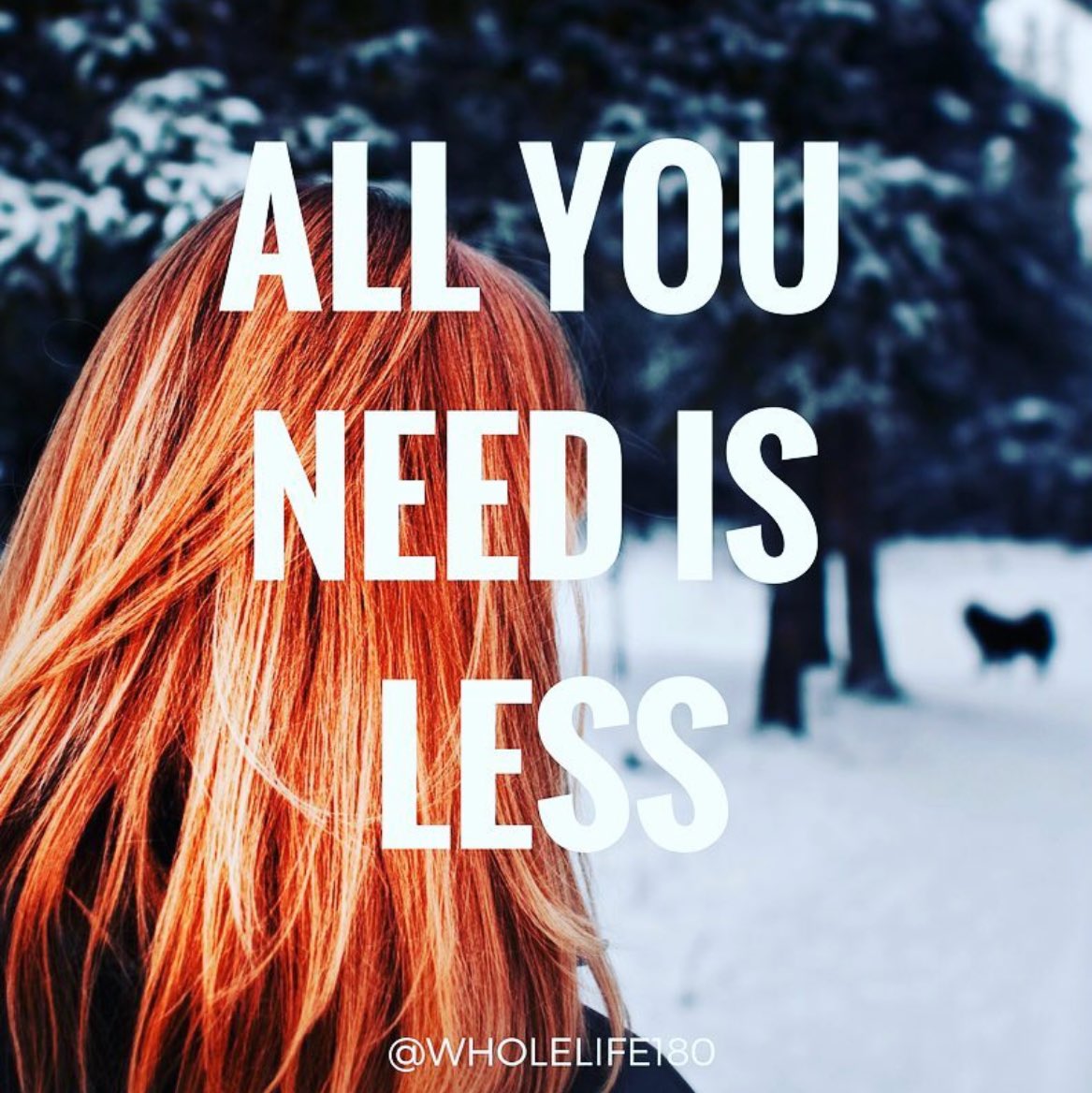 Amy Fein tweet media