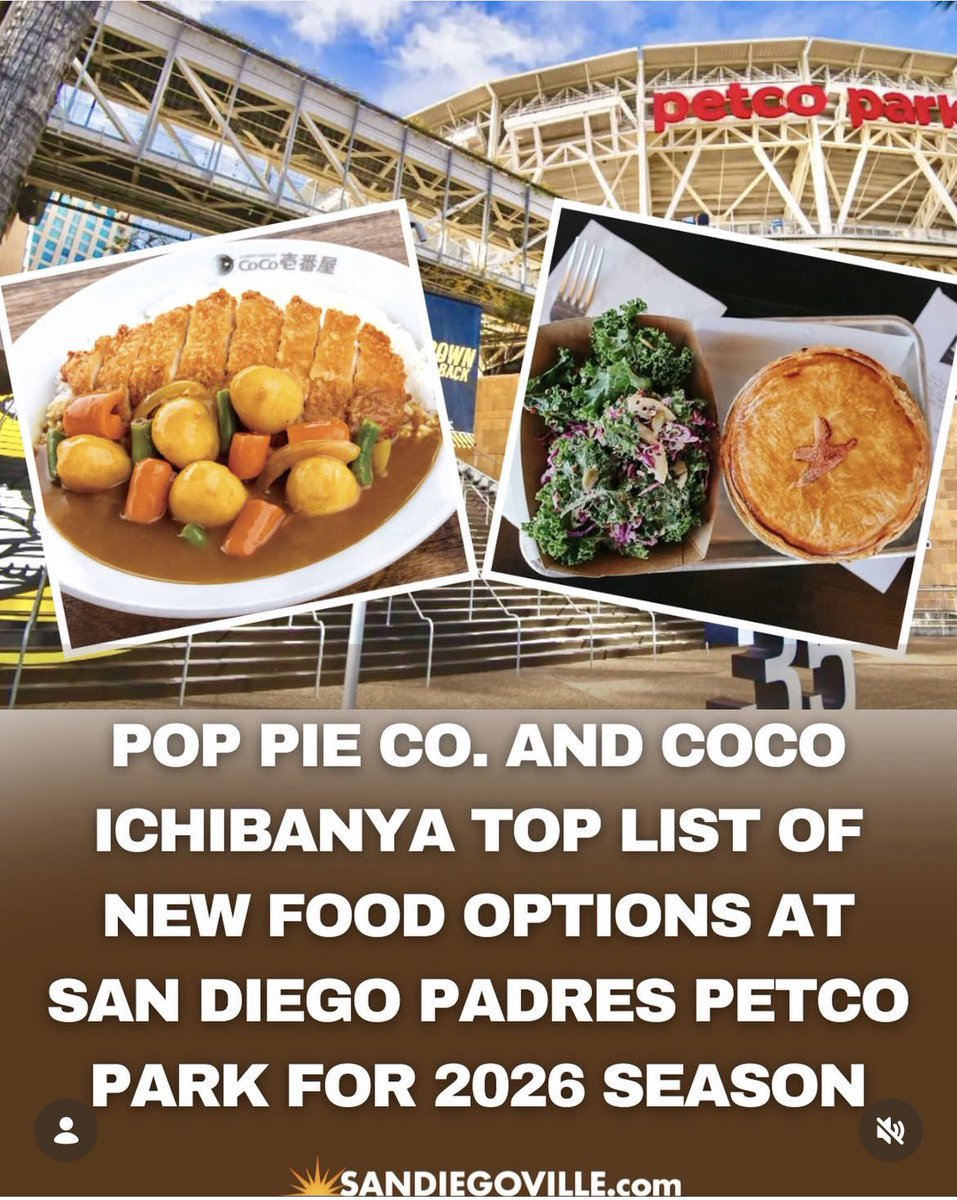 Kitsune Women’s Wrestling tweet media