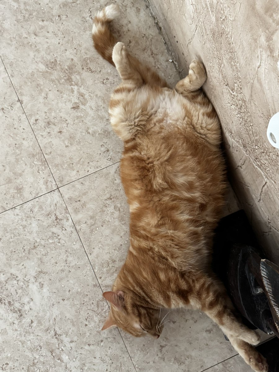 TheAddictiveIndividual tweet media