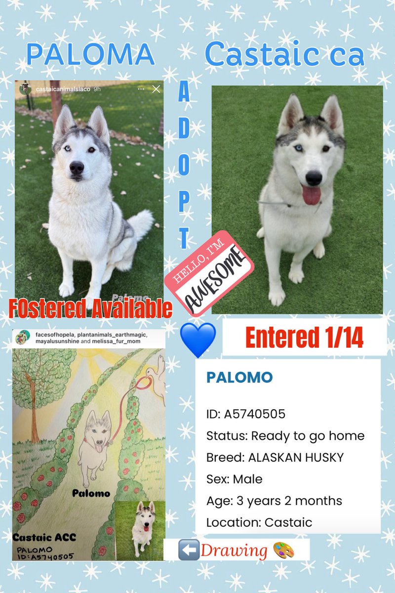 Sarah jane Gillespie tweet media