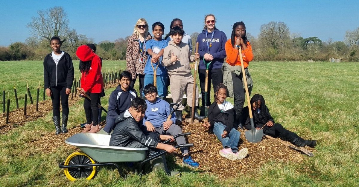 Around Wellington tweet media