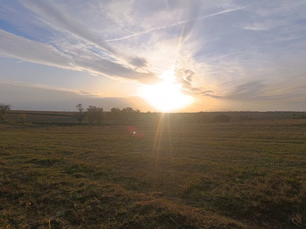 ... Manu ... 守破離 ... tweet media