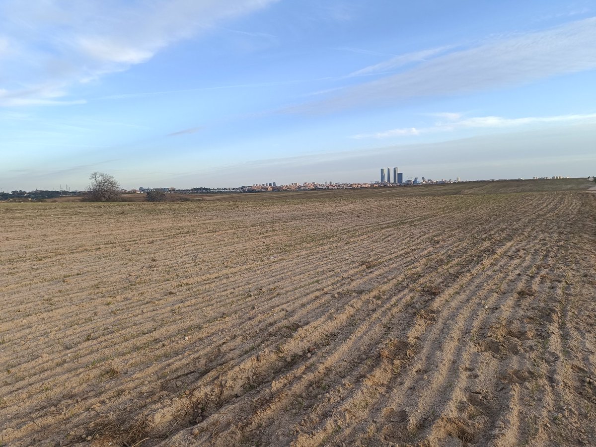 ... Manu ... 守破離 ... tweet media